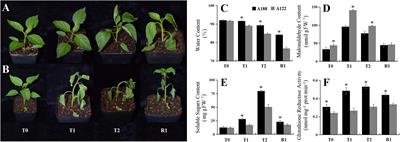 Comprehensive Proteome and Lysine Acetylome Analysis Reveals the Widespread Involvement of Acetylation in Cold Resistance of Pepper (Capsicum annuum L.)